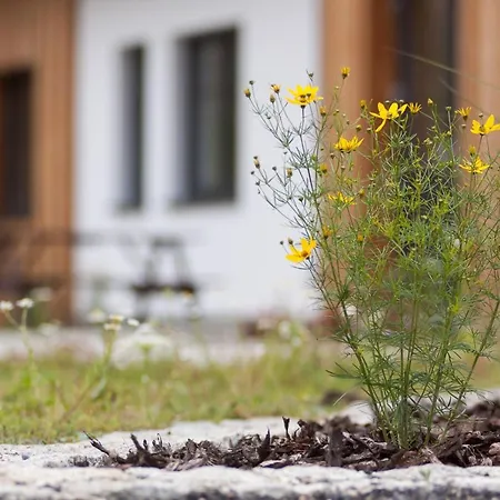 Devitka Pod Spicakem *