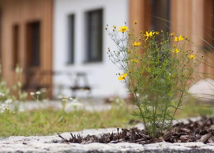 Devítka Pod špičákem *